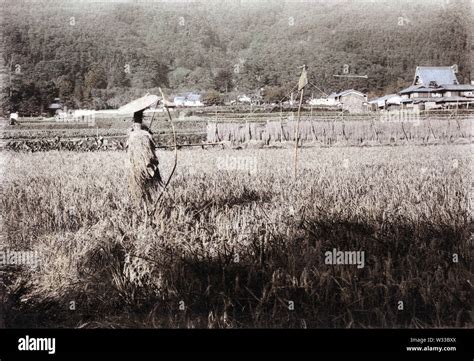  The Wonderful Scarecrow: Décryptage d'une allégorie rurale japonaise du XXe siècle