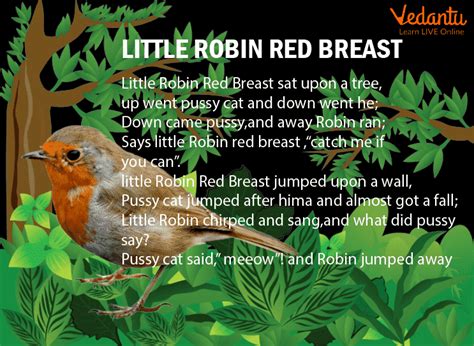  Rollin' Redbreast : Un conte plein de sagesse déguisée en oiseau rougeoyant !