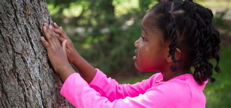  The Child Who Married a Tree : Un conte colombien qui explore les liens entre la nature et l’humain !